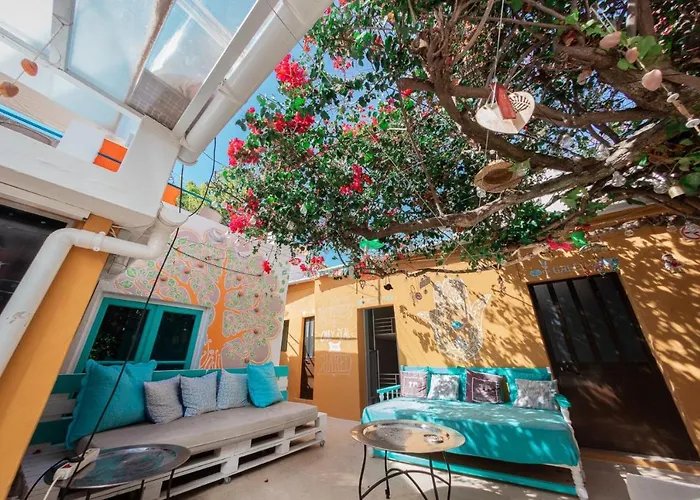 Orange Terrace Hostel